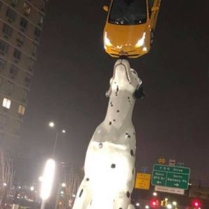 Meet your Posher, Abdel aziz